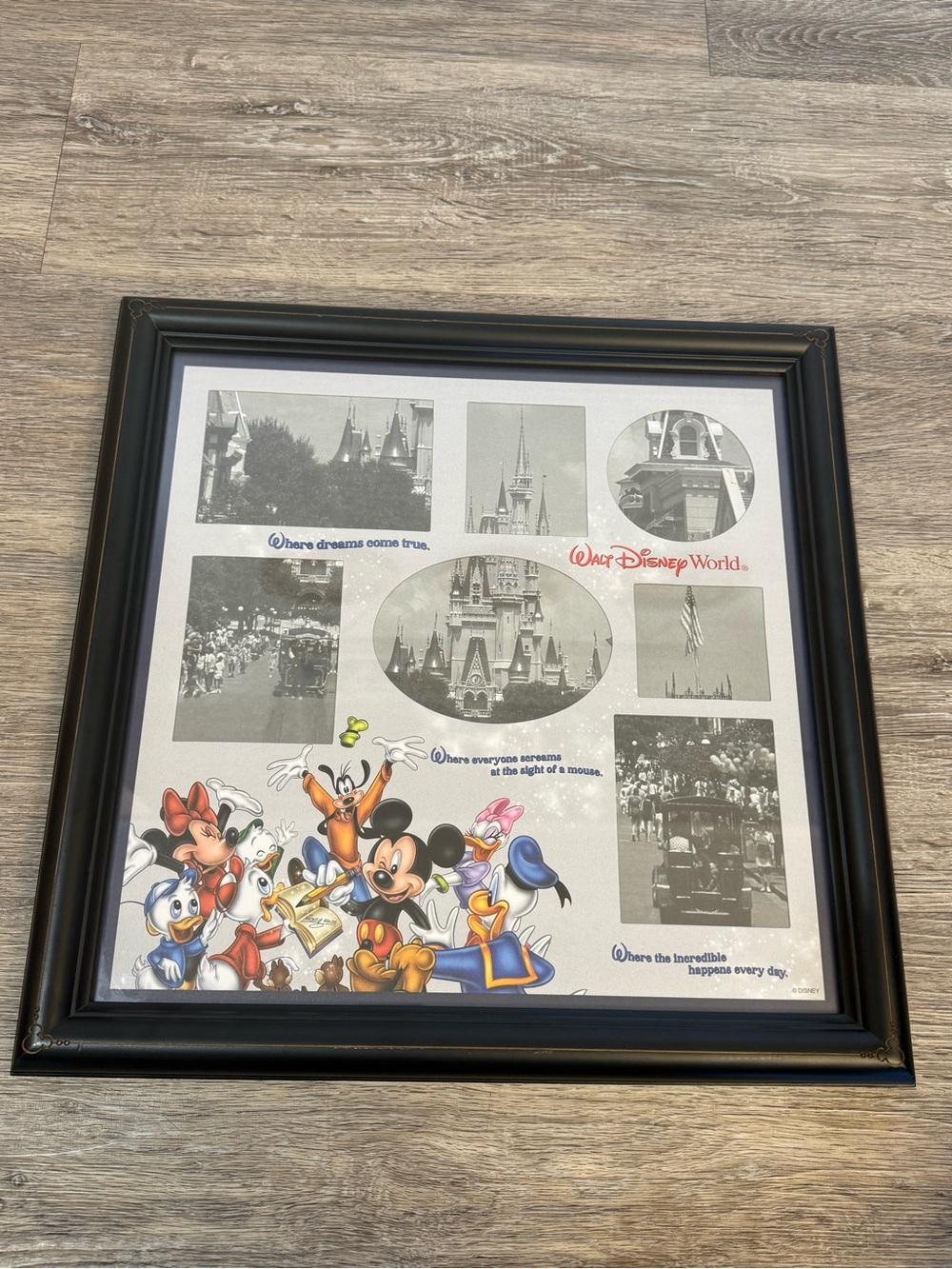 Disney Character Frame